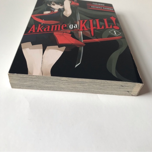 3 for $30 🛒 Akame ga kill manga vol 1 - Picture 2 of 5